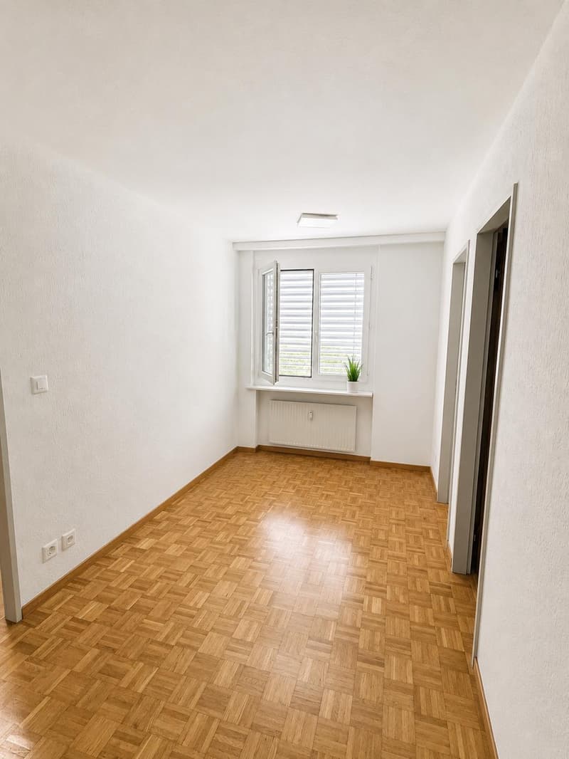 3.5 room apartment in Amriswil (5)