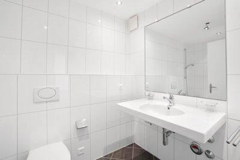Wohnkomfort trifft gute Lage 4.5 Zimmerwohnung in St. Gallen Haggen (8)