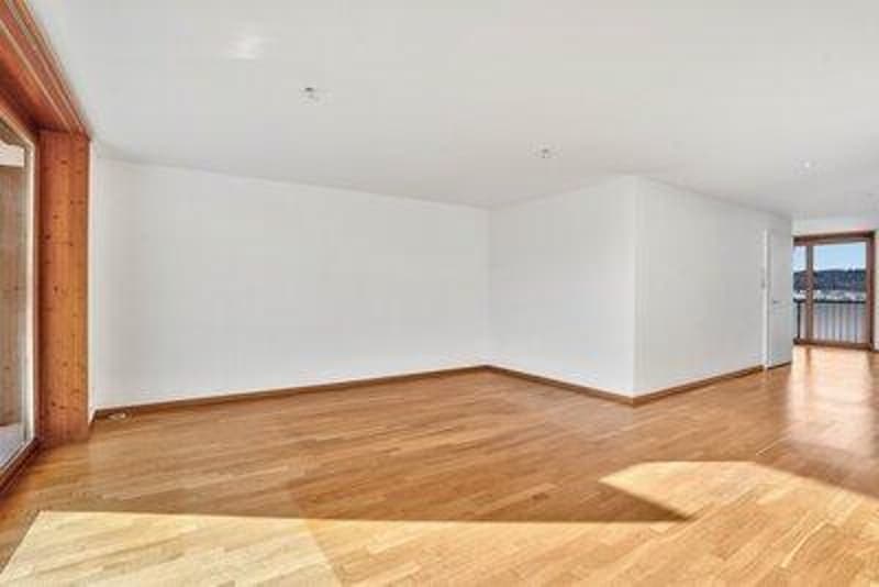 Wohnkomfort trifft gute Lage 4.5 Zimmerwohnung in St. Gallen Haggen (5)