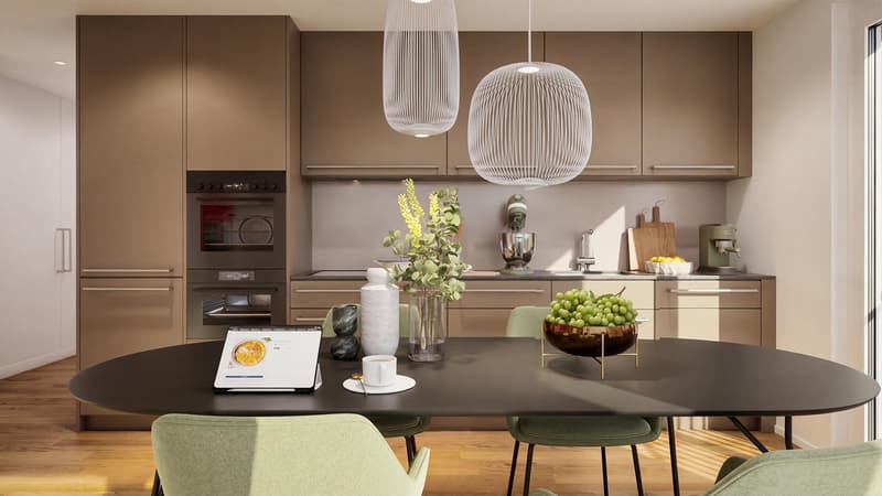 4.5-room new building apartment with a far-reaching view in Lüterswil (Bucheggberg) (3)