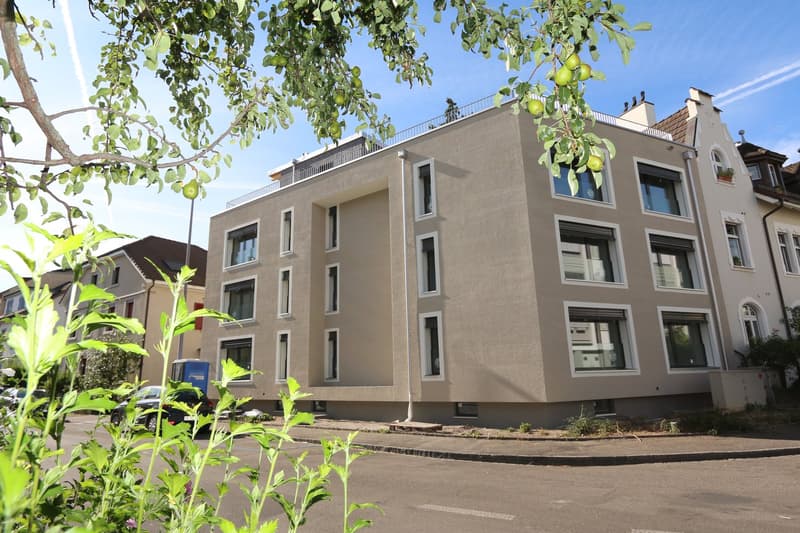 Exklusive 4.5-Zi-Wohnung an der Stadtgrenze in Birsfelden - nach totaler Kernsanierung (13)