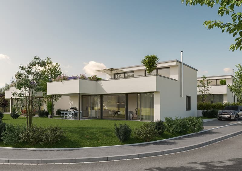 NEUBAU: Baubeginn bereits erfolgt - Modernes freistehendes EFH mit Tiefgarage in Möhlin (3)