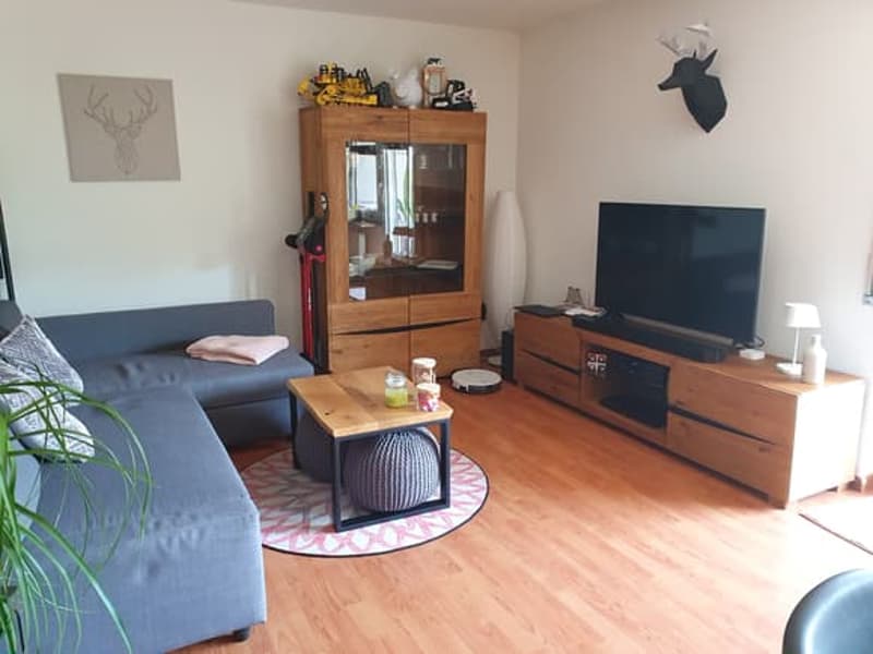 blue sofa, wooden floor, wooden entertainment center, TV, coffee table, wooden cabinet