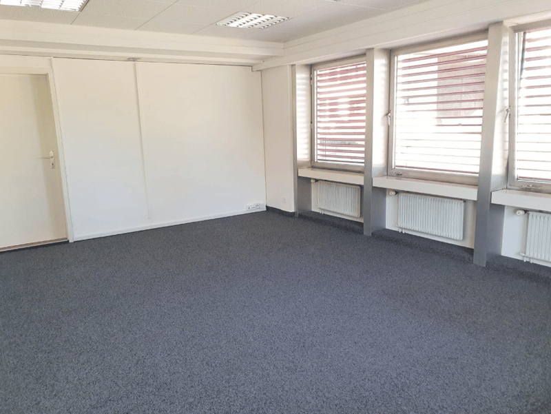 empty room, gray carpet, white walls, three windows, white door