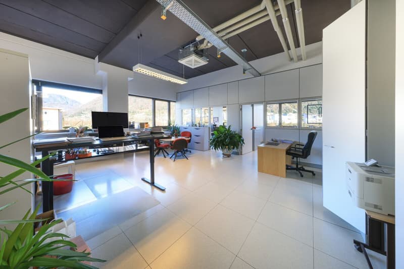 LOSONE – Espace commercial spacieux pour usage de bureau (4)