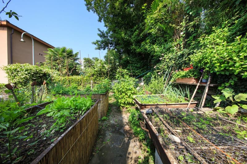 Villa Arancia (51)