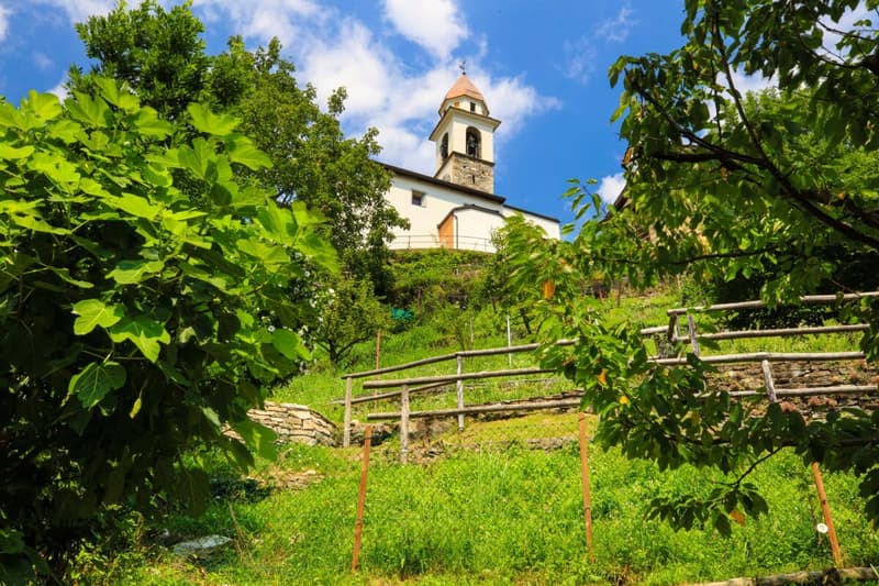 House Ghiridone (19)