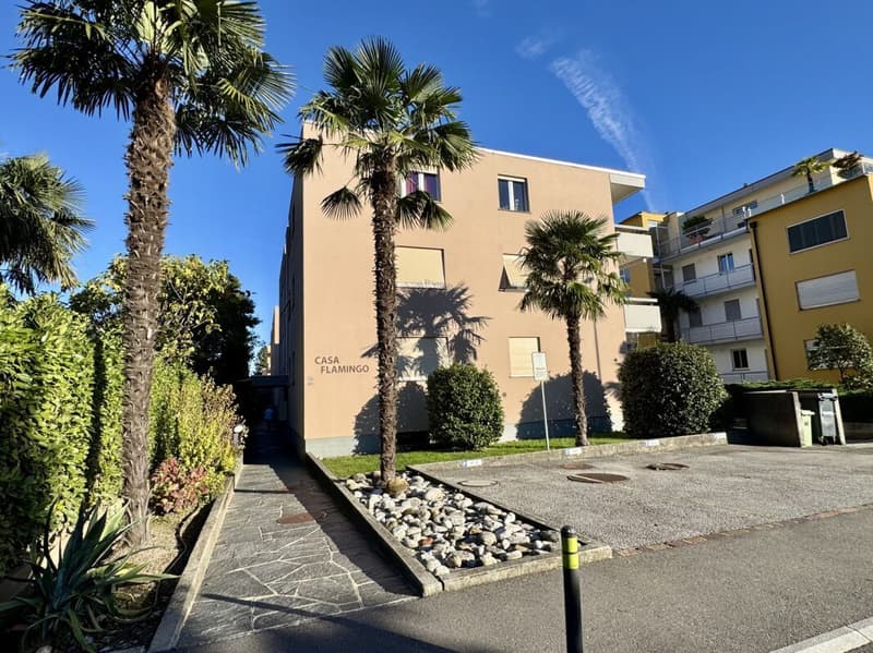 Résidence Flamingo (14)