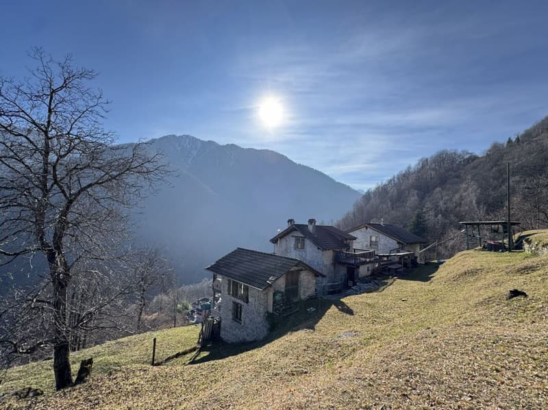 Rustico Monte Sereno (1)
