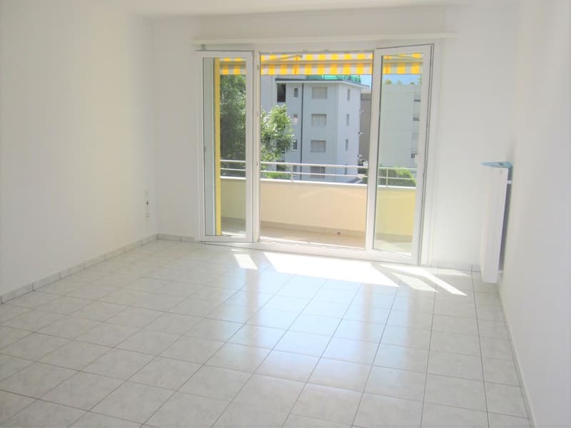 Grazioso appartamento di 1.5 locale vicinanze Lago Maggiore (4)