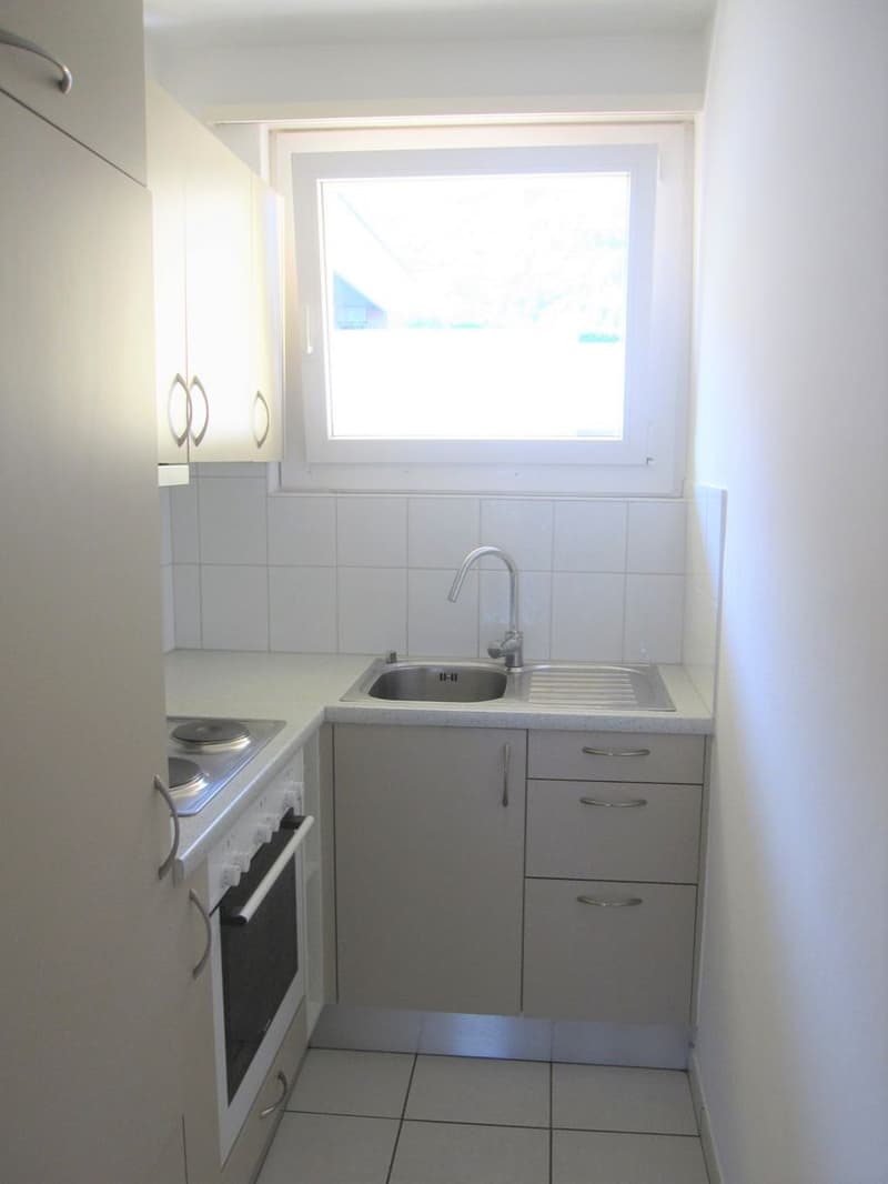 Appartement charmant de 1,5 pièces à proximité du Lago Maggiore (8)