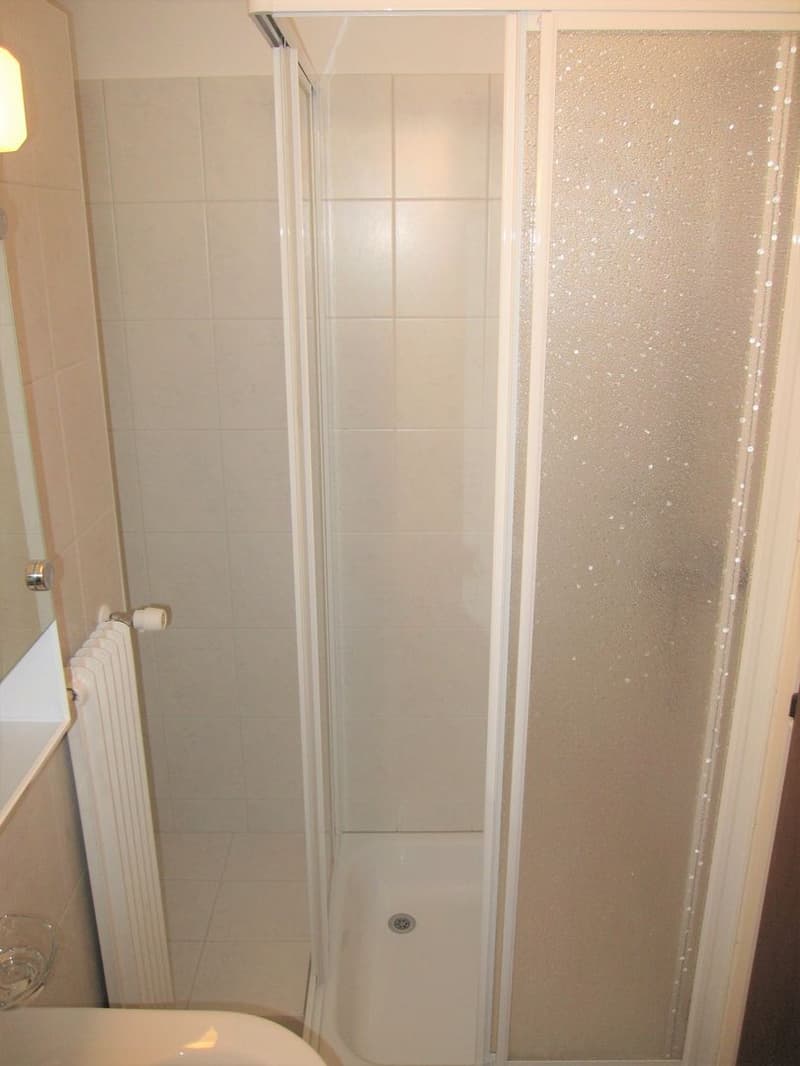 Charming 1.5-Room Apartment Near Lake Maggiore (11)