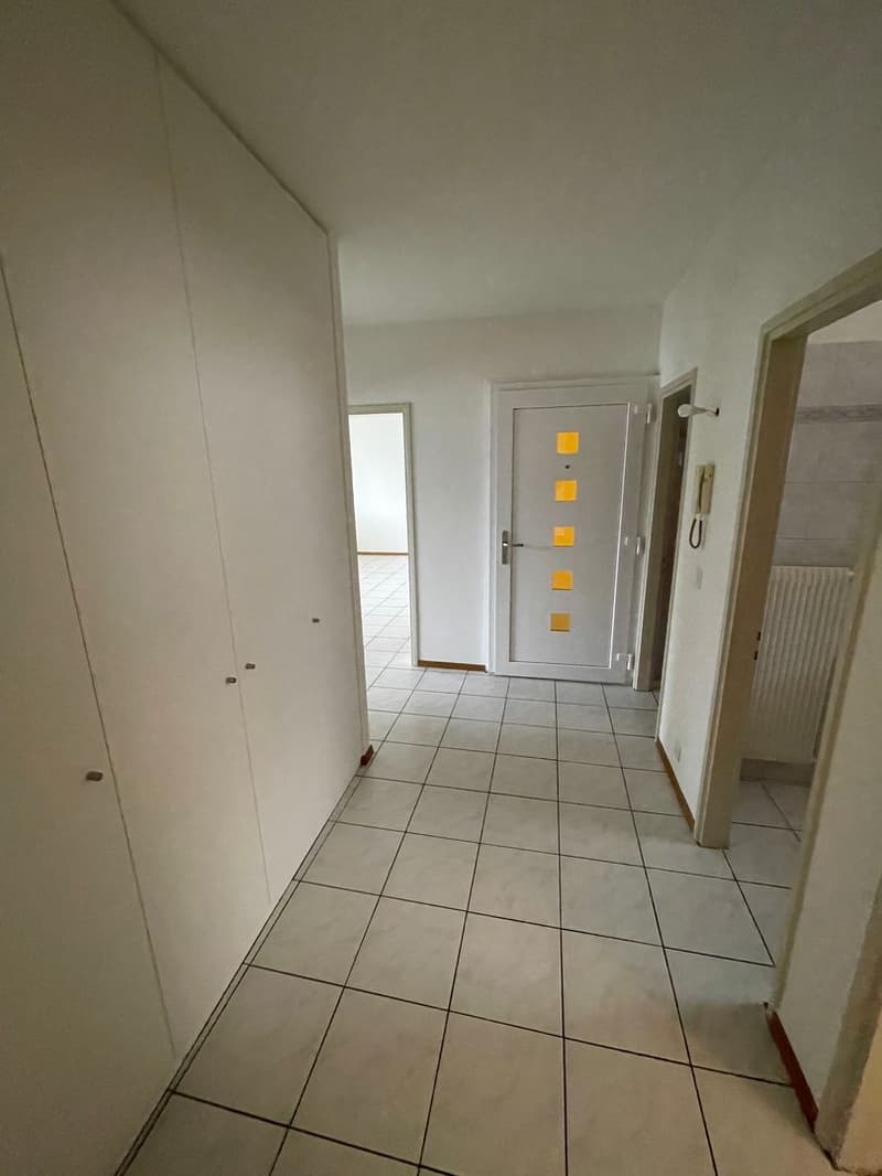 Affittiamo appartamento di 3,5 locali a Minusio (1)