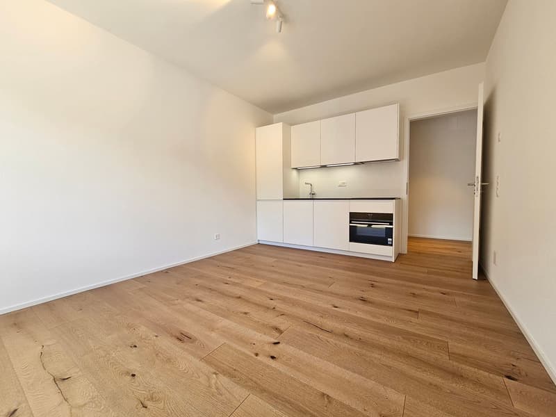 Casa Pedramonte – 3.5-Zimmer-Wohnung (8)