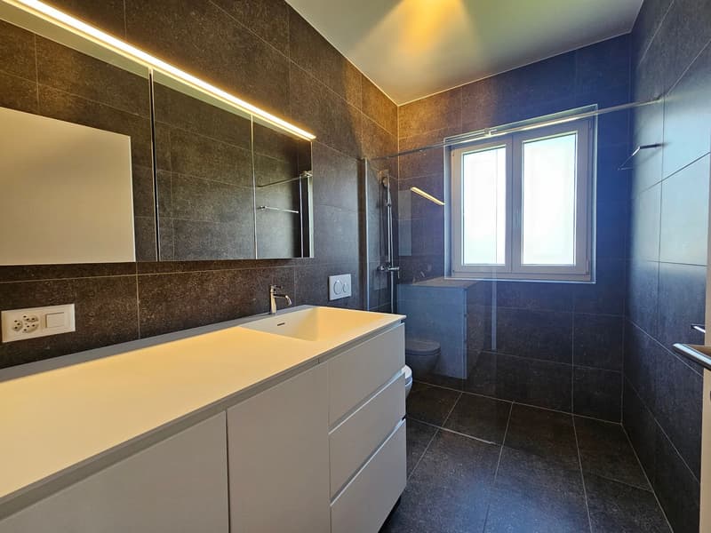 Casa Pedramonte – 3.5-Zimmer-Wohnung (9)