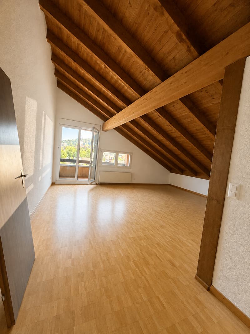 Charmante 1.5-Zimmer-Dachwohnung an der Hauptstrasse in Reinach (1)