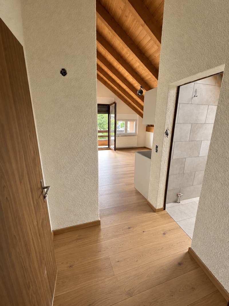 1-Zimmer-Dachwohnung mit Balkon – Erstbezug nach Totalsanierung (1)