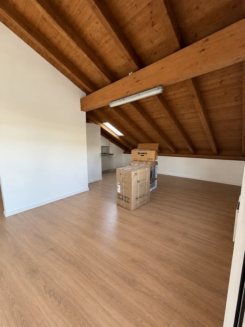 Charmantes Dachgeschoss-Studio mit Balkon in Reinach (2)