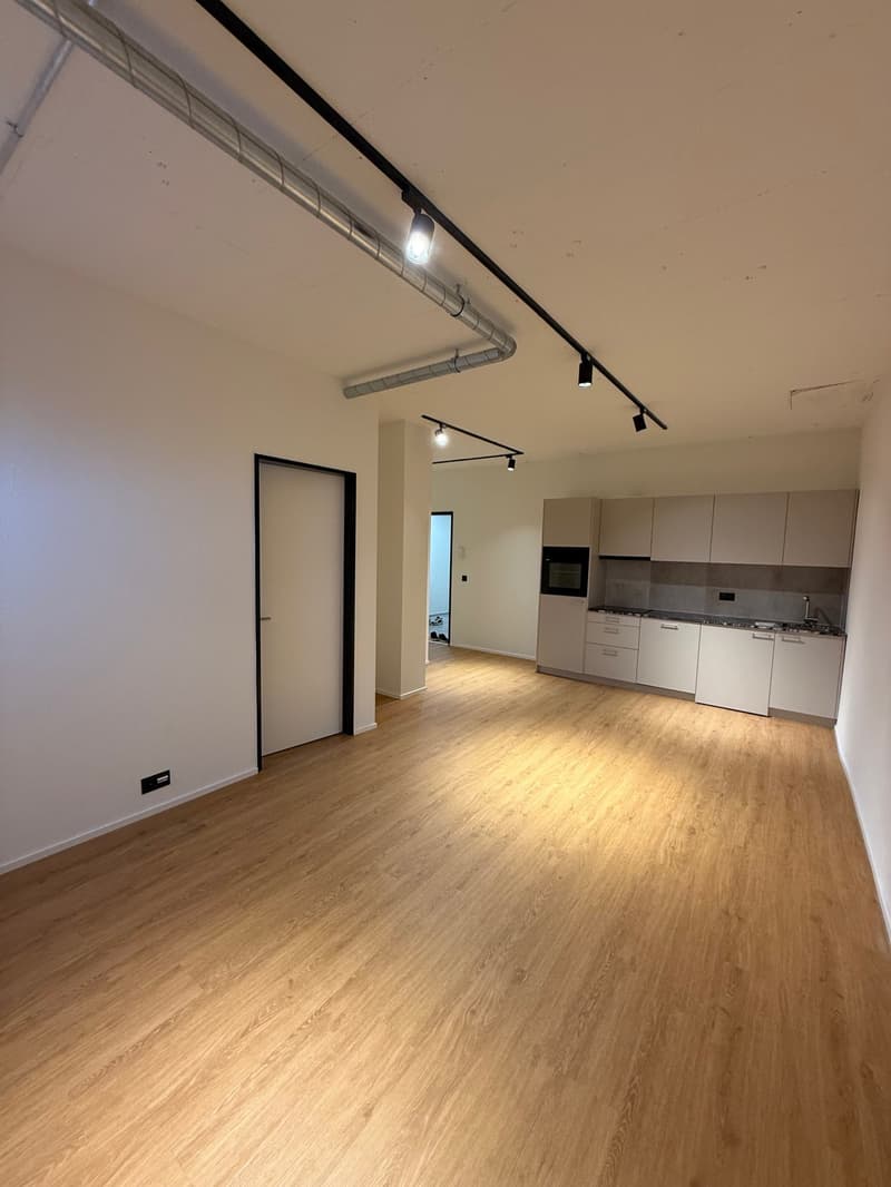 Moderne 2.5-Zimmer-Wohnung an zentraler Lage in Reinach (1)