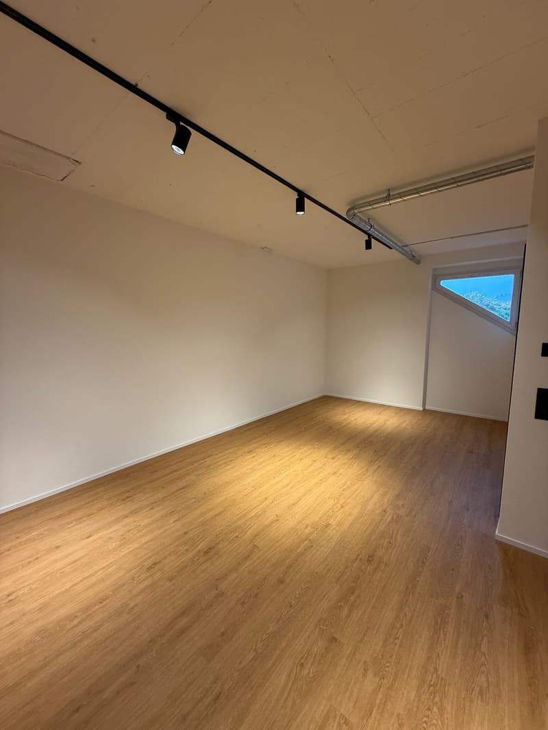 Moderne 2.5-Zimmer-Wohnung an zentraler Lage in Reinach (2)