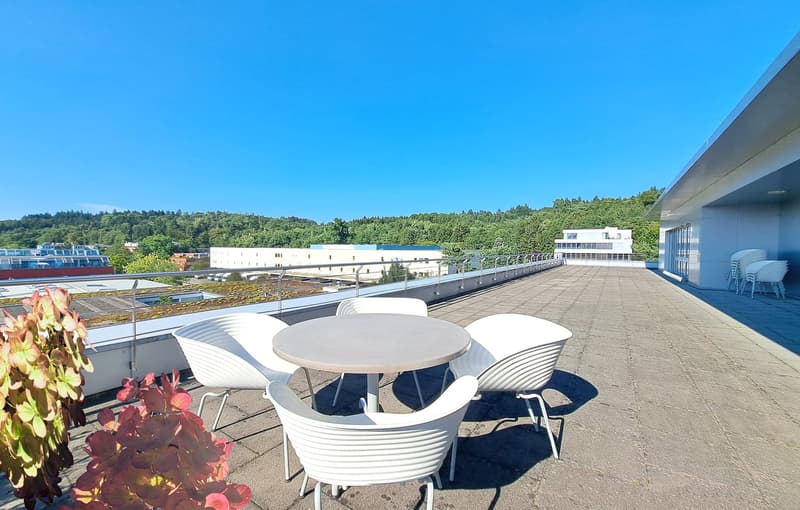Exclusive attic residence with breathtaking panorama (5)