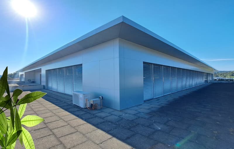 Exclusive attic residence with breathtaking panorama (6)