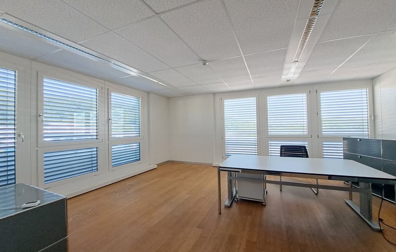 Exclusive attic residence with breathtaking panorama (3)