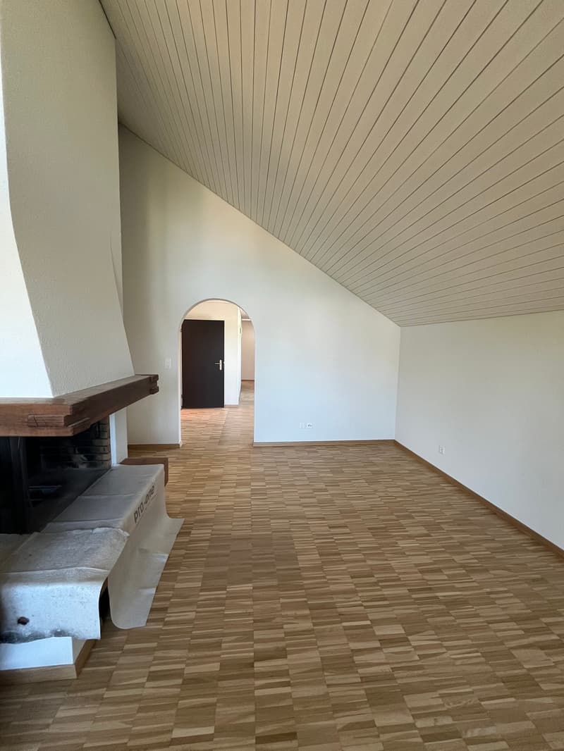 Charming 4.5-room attic apartment on Alte Obfelderstrasse in Affoltern am Albis (9)