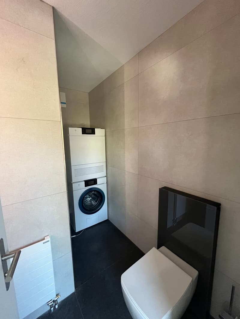 Charming 4.5-room attic apartment on Alte Obfelderstrasse in Affoltern am Albis (5)