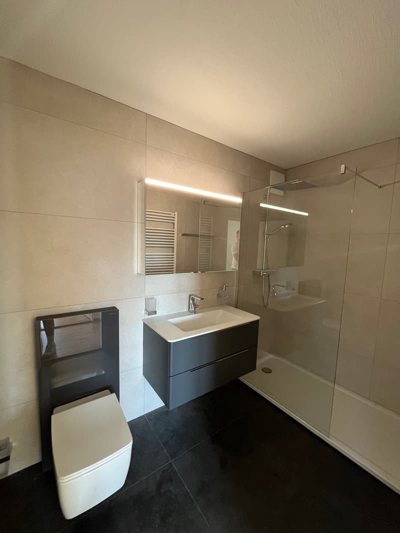 Charming 4.5-room attic apartment on Alte Obfelderstrasse in Affoltern am Albis (4)