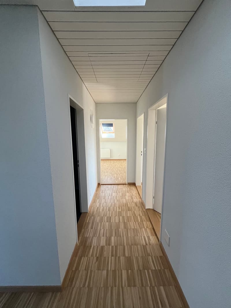 Charming 4.5-room attic apartment on Alte Obfelderstrasse in Affoltern am Albis (10)