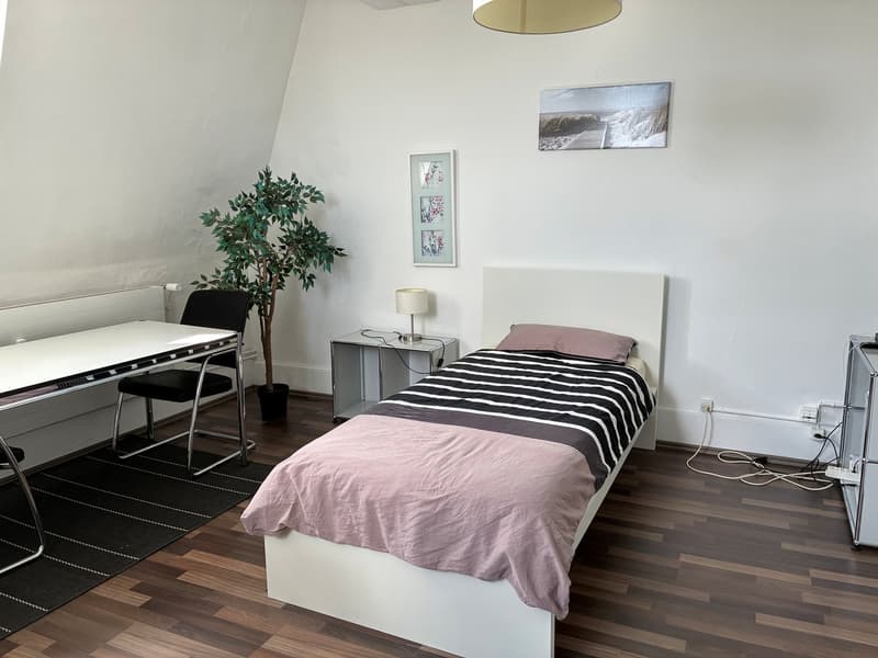 Schöne und gut ausgestattete Zimmer mit Blick auf die Aare (6)