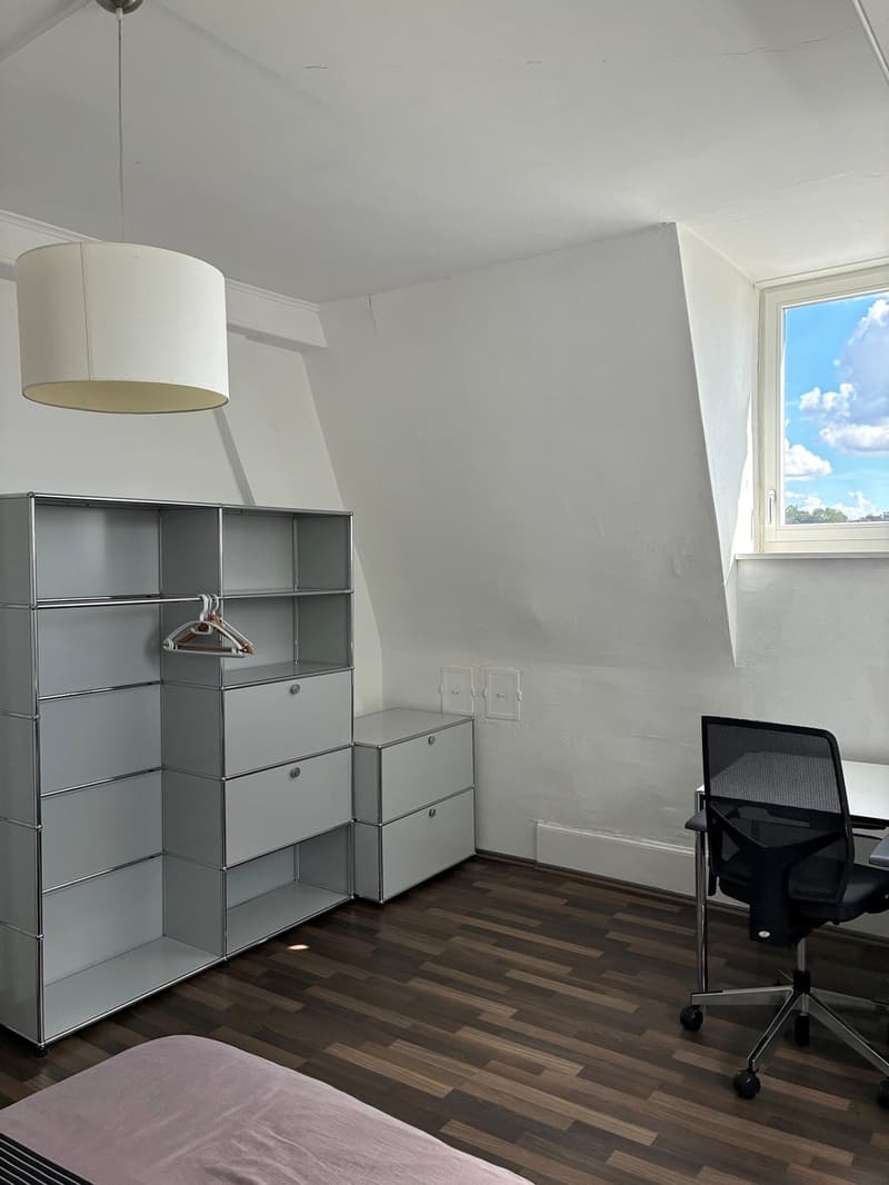 Schöne und gut ausgestattete Zimmer mit Blick auf die Aare (5)