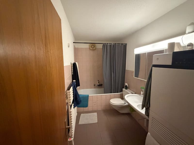 Zentral gelegene 3.5-Zimmer-Gartenwohnung in Affoltern a. A. (6)
