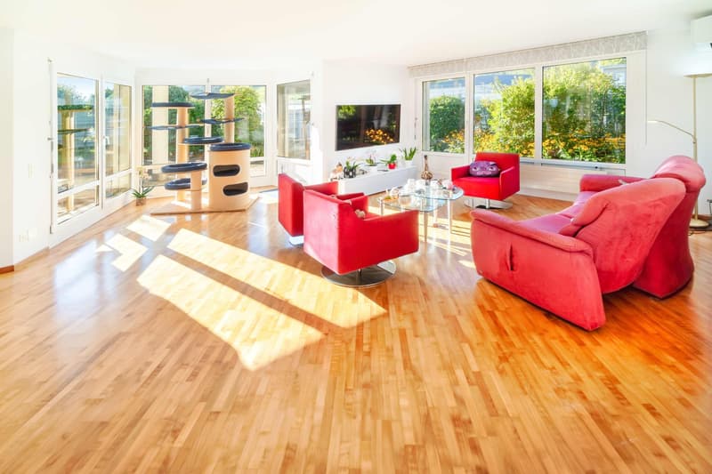 Appartement attique 5.5 pièces avec terrasse de jardin de 550 m², un rêve.... (3)
