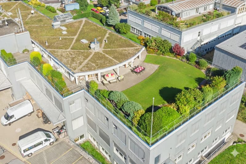 Appartement attique 5.5 pièces avec terrasse de jardin de 550 m², un rêve.... (8)