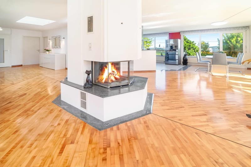 Appartement attique 5.5 pièces avec terrasse de jardin de 550 m², un rêve.... (6)