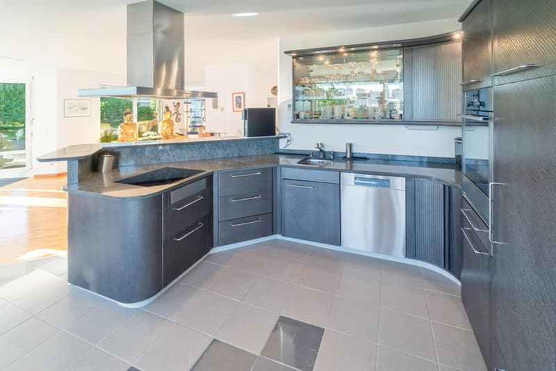 Appartement attique 5.5 pièces avec terrasse de jardin de 550 m², un rêve.... (4)