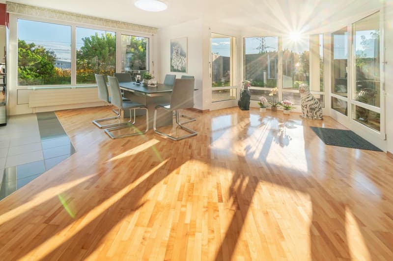 Appartement attique 5.5 pièces avec terrasse de jardin de 550 m², un rêve.... (5)