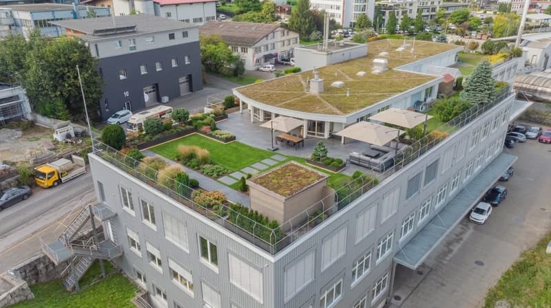 5.5 Zimmer Attikawohnung mit 550 m² Gartenterrasse, ein Traum.... (7)