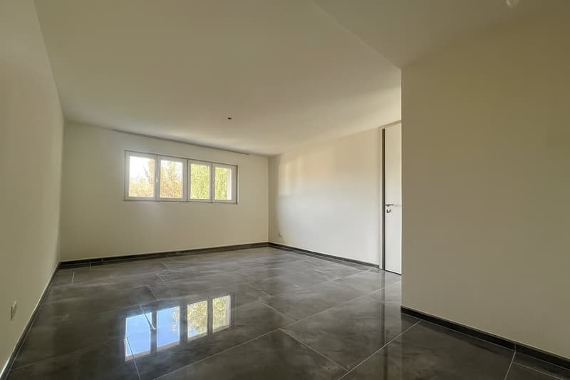 Charming single-family house with 6.5 rooms in a quiet location in Glashuetten (8)