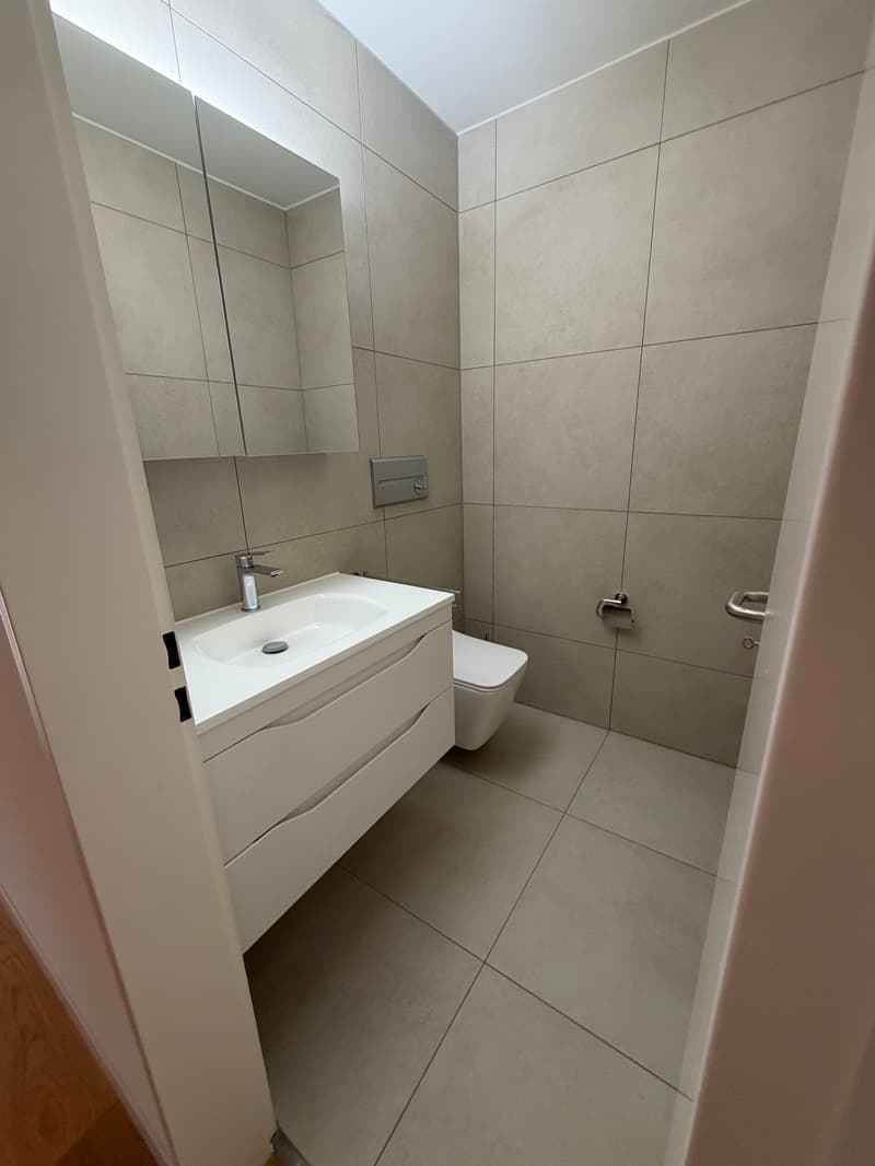Appartement 3 pièces lumineux avec balcon et piscine à Zürich-Oerlikon (11)