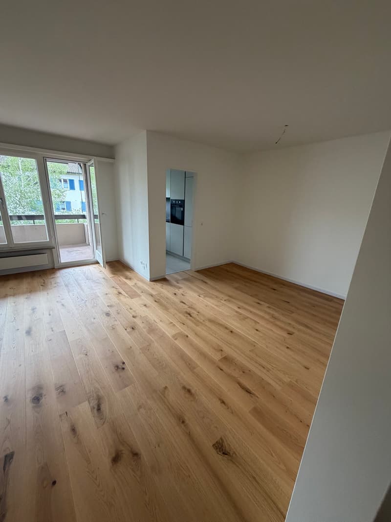 Appartement 3 pièces lumineux avec balcon et piscine à Zürich-Oerlikon (3)