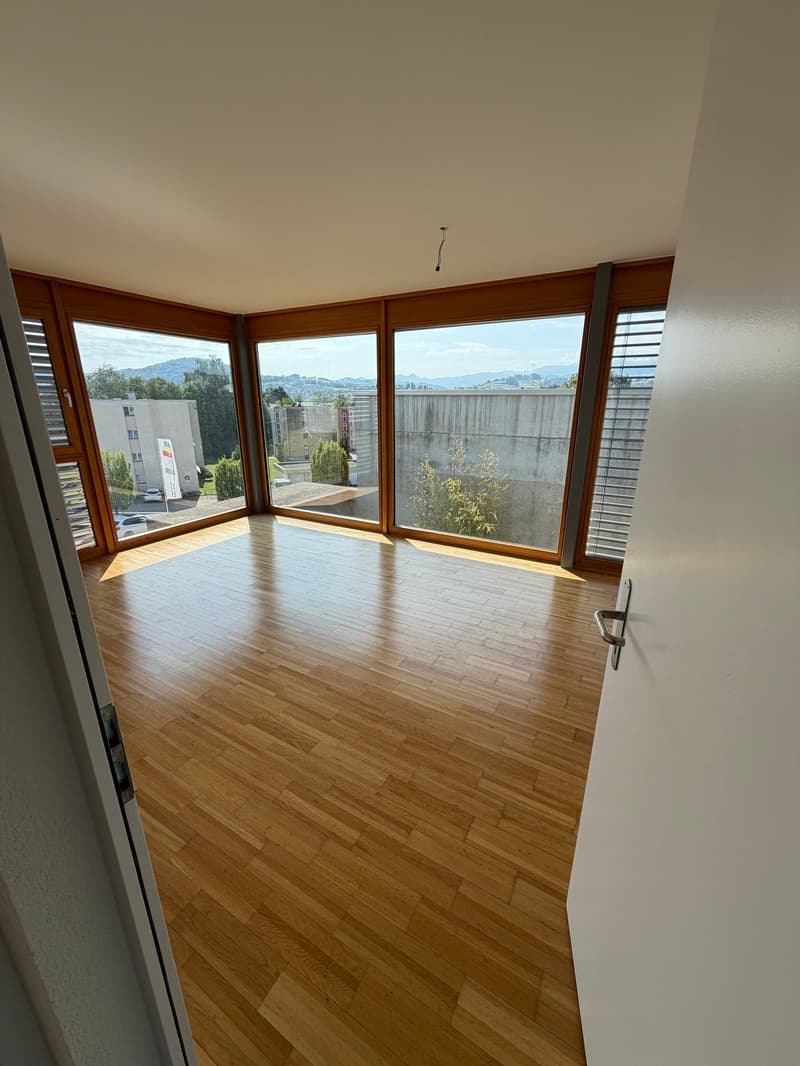 Maison mitoyenne moderne de 5 pièces avec grand jardin et équipement de haute qualité à Abtwil SG (10)