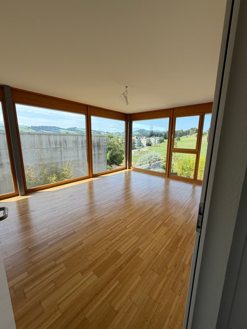 Maison mitoyenne moderne de 5 pièces avec grand jardin et équipement de haute qualité à Abtwil SG (12)