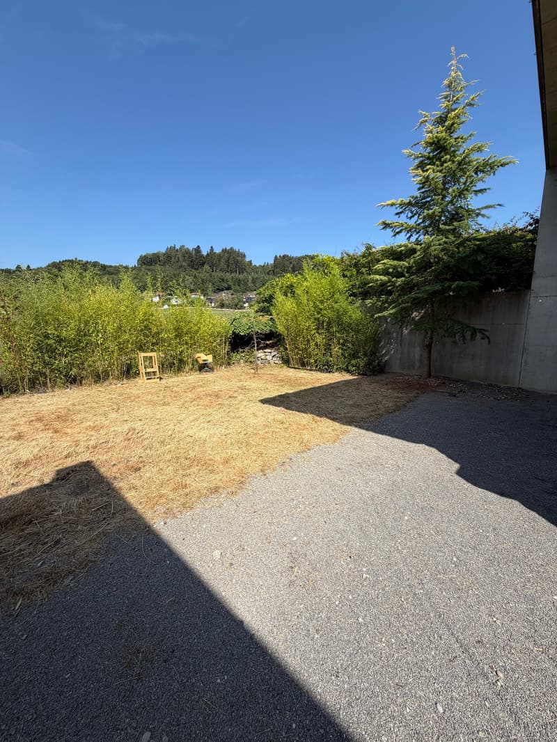 Maison mitoyenne moderne de 5 pièces avec grand jardin et équipement de haute qualité à Abtwil SG (7)