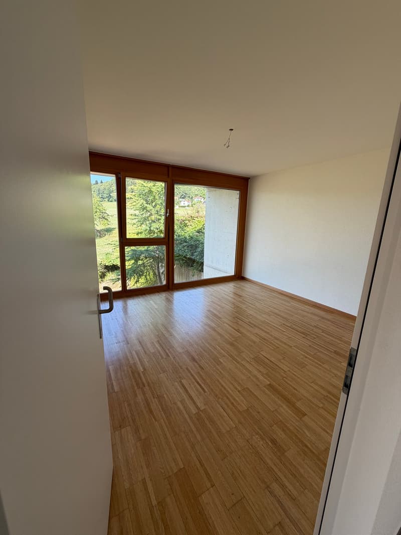 Maison mitoyenne moderne de 5 pièces avec grand jardin et équipement de haute qualité à Abtwil SG (13)