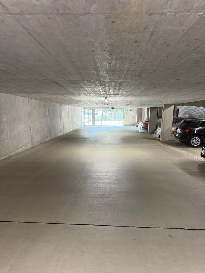 Maison mitoyenne moderne de 5 pièces avec grand jardin et équipement de haute qualité à Abtwil SG (14)