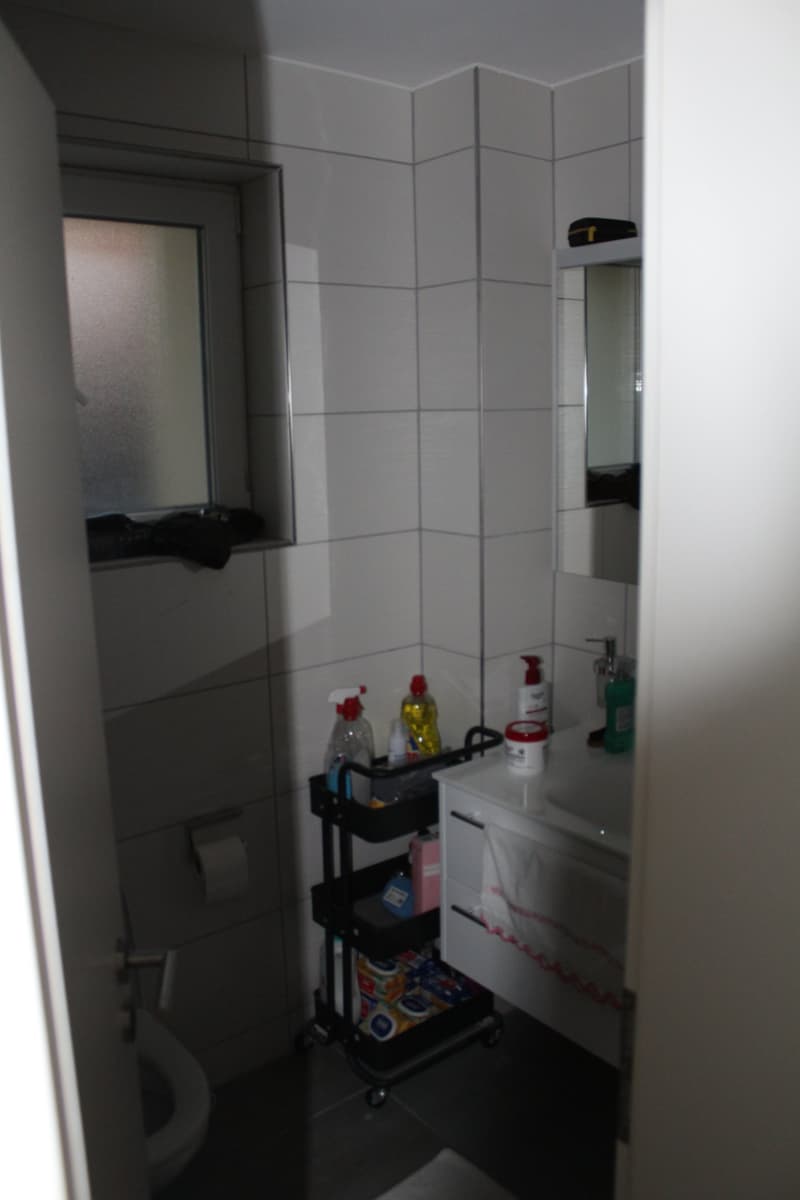 Appartamento di 2 locali ben mantenuto al piano terra in una zona tranquilla a Oberhasli (5)