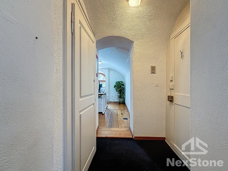 Empty hallway with white walls, wooden floor, and a small plant in the corner.